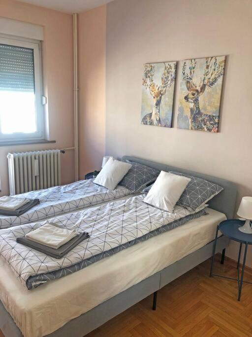 Quince Apartment-Free Parking-City Center Belgrad Dış mekan fotoğraf