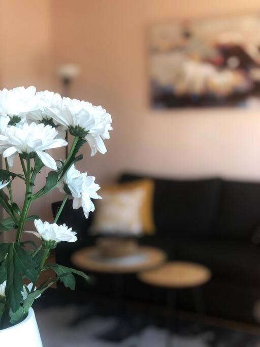 Quince Apartment-Free Parking-City Center Belgrad Dış mekan fotoğraf